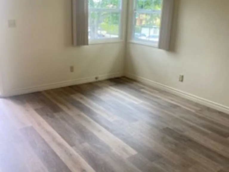 1037 Emerald St — Photo 4