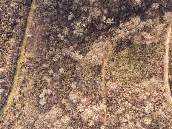4th image of 0 Eagle Nest Ct