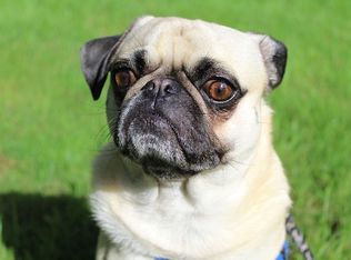 1 Kintz St, Rochester, NY 14612