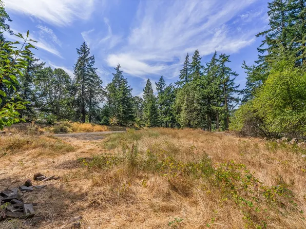 1330 Promise Ln, Whitesalmon, WA 98672