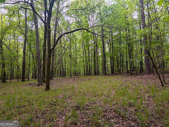 3rd image of Georgia Kaolin Rd