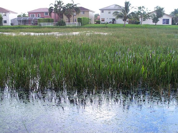 Lake 1