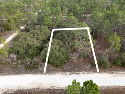 NE 150th Ave Lot 25, Williston, FL, 32696