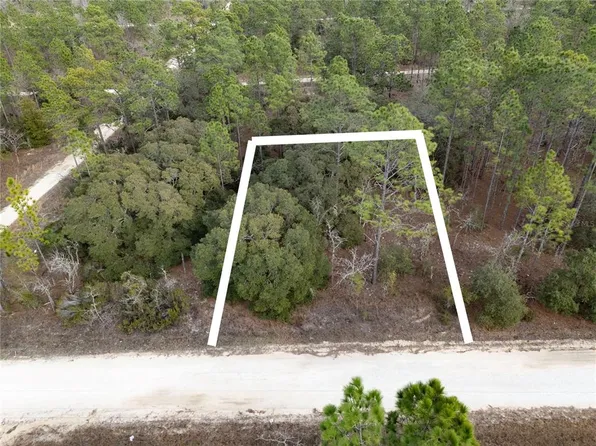 NE 150th Ave Lot 25, Williston, FL 32696