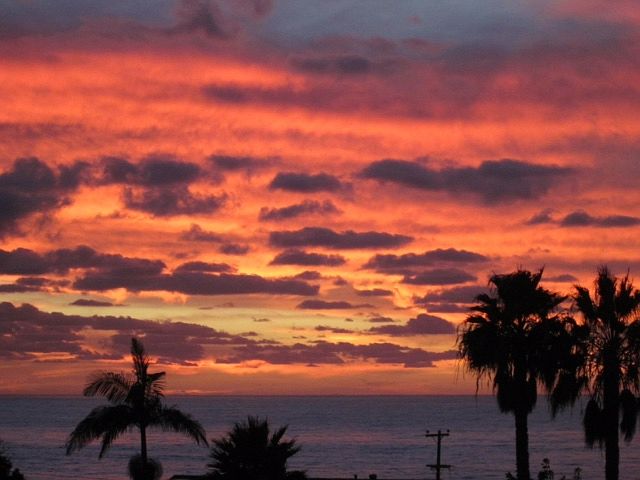 1st image of 4432 Algeciras St