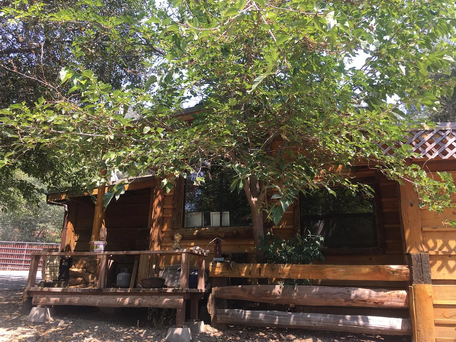 10000MIRA Monte Rd, Tuolumne — Photo 2