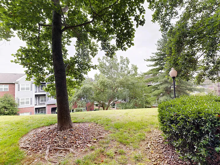 Preserve at Brentwood — Photo 56