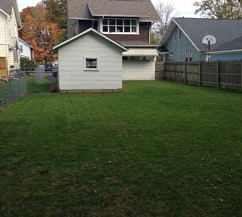 View from Back of Yard