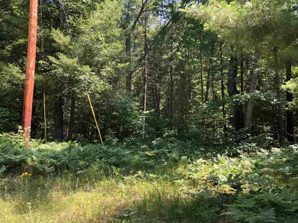 Peasley Blvd, Harrison, MI 48625