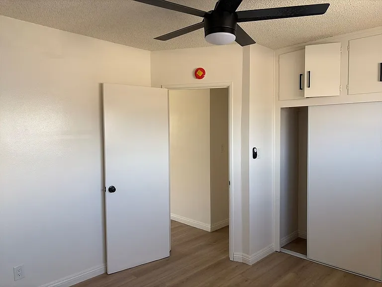 8130 Constance St — Photo 5