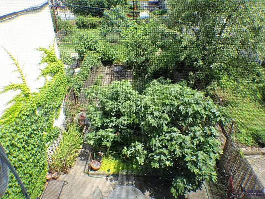 Rented by Brownstone Real Estate | media 25