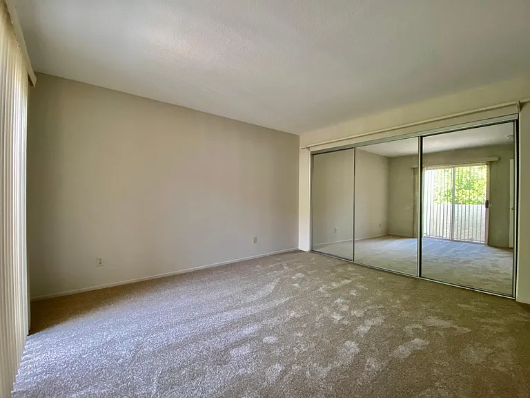 25538 Azalea — Photo 9