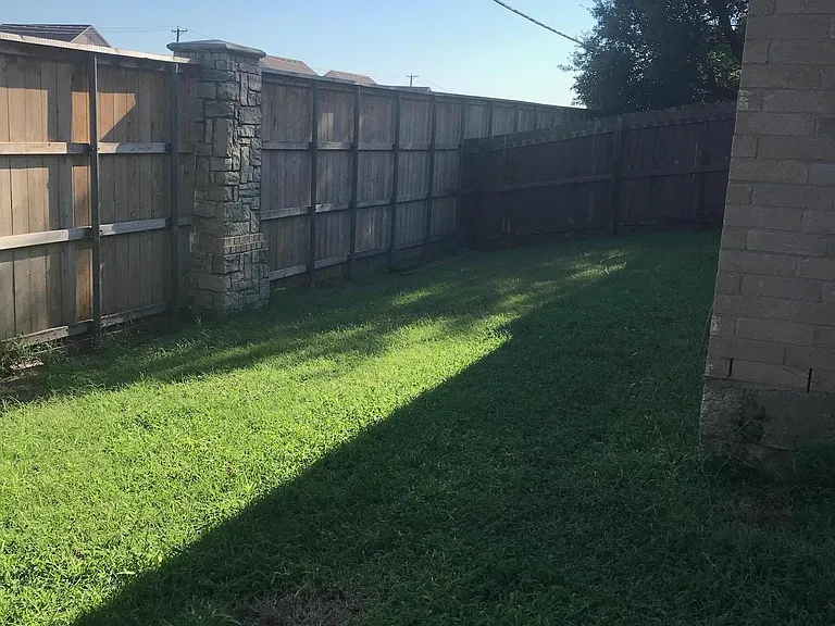 back yard
