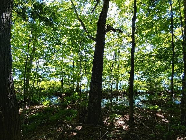 2nd image of ON Sugar Maple Rd