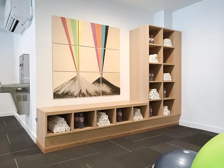 The Health Studio