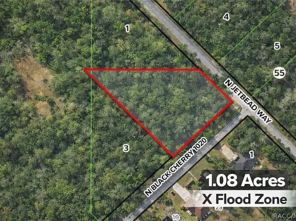 8292 N Black Cherry Ter, Crystal River, FL 34428