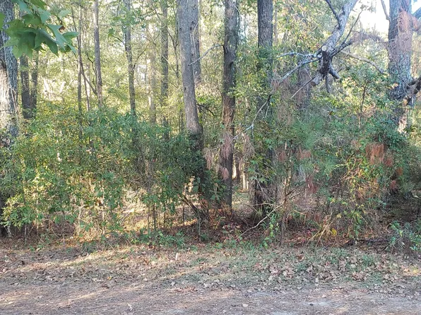 0 Old Ridgeway Drive, Kinston, NC 28504