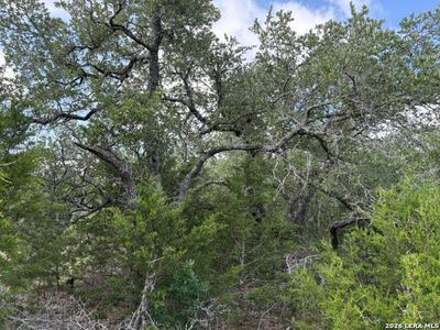 351 RIDGE PT LOT 2154, Spring Branch, TX, 78070