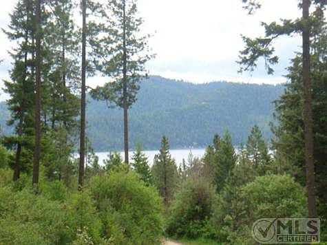 Crumps      June 1 003