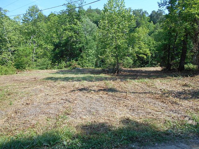 2nd image of 51 Peaceful Cove Ln