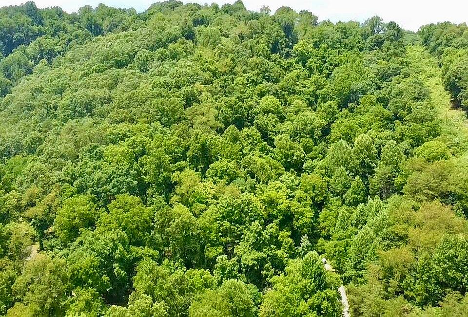 1st image of Powell Mountain Rd