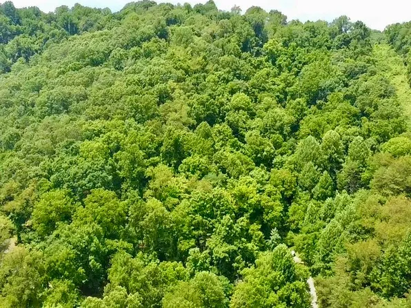 Powell Mountain Rd, Peterstown, WV 24963