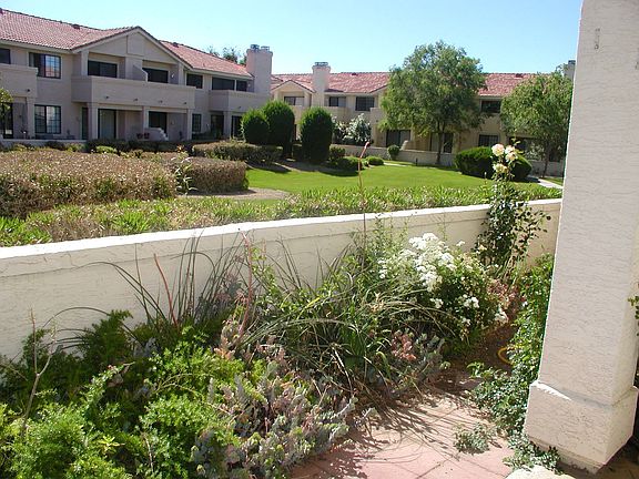 Patio w/ Greenbelt behind