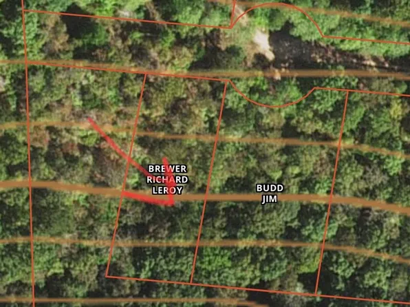 42 Chinkapin Rd, Holladay, TN 38341