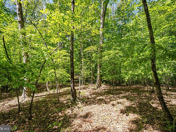 3rd image of Letcher Rd