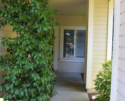 3rd image of 1985 Rainier Cir