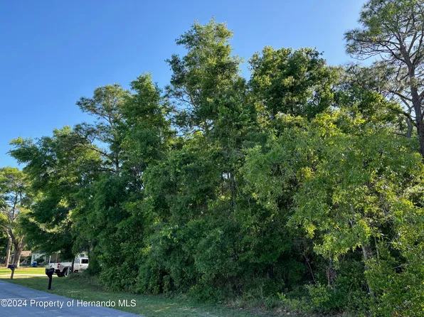LOT 17 Simmons St, Brooksville, FL 34613