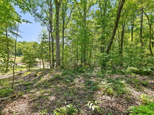 0 Maple Leaf Trl Lot 5, Lookout Mountain, GA 30750