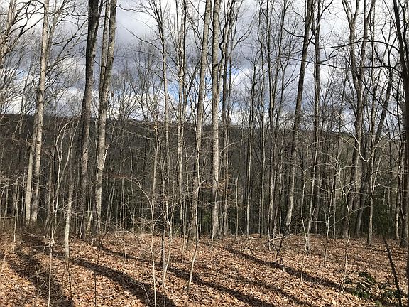 5th image of 550 Wilderness Way #550
