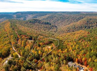 1420 Leggett Rd, Sale Creek, TN 37373