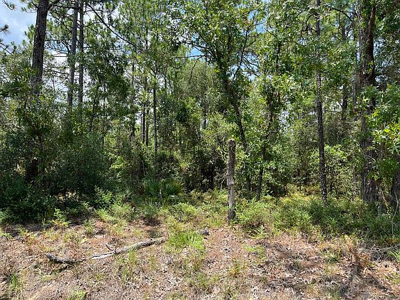 3rd image of 9105 N Hawkweed Drive