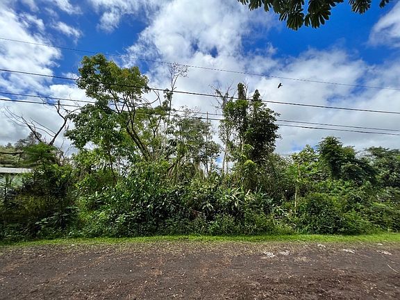 4th image of Tiki Rd Lot 6
