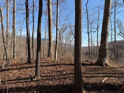 0 Posey Blanton Rd, Sylva, NC, 28779