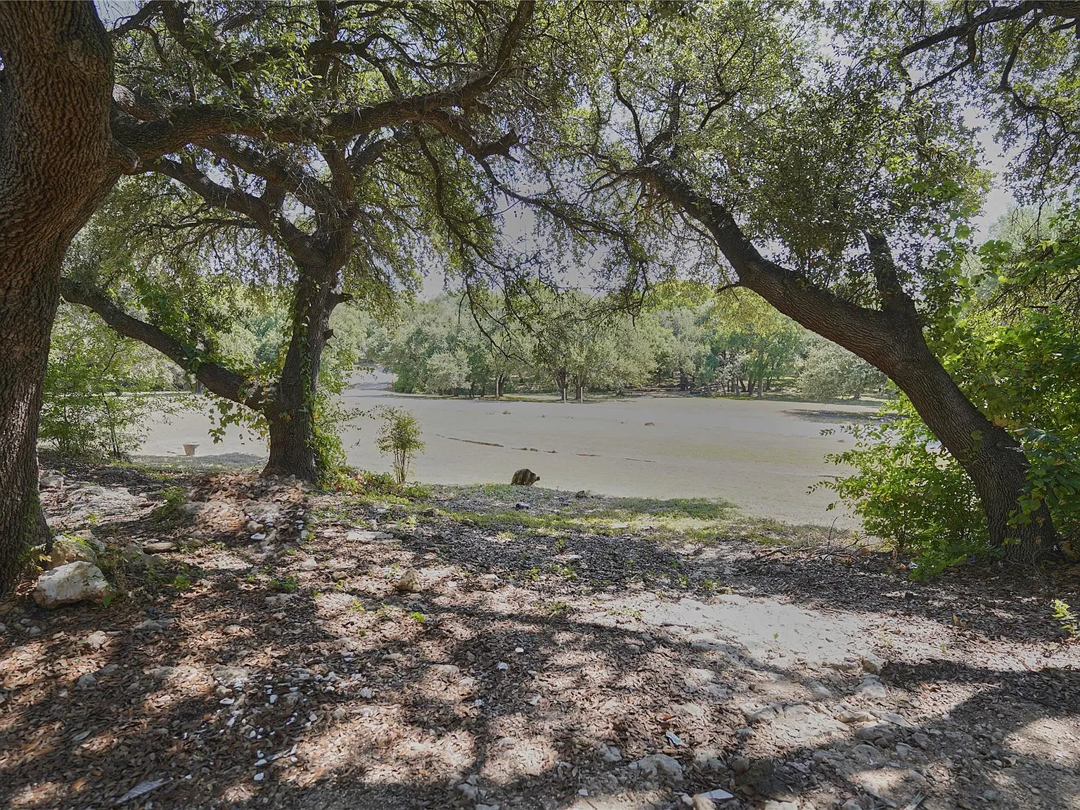 2 bed, 2.0 bath, 896 sqft, $1,150 — Photo 2