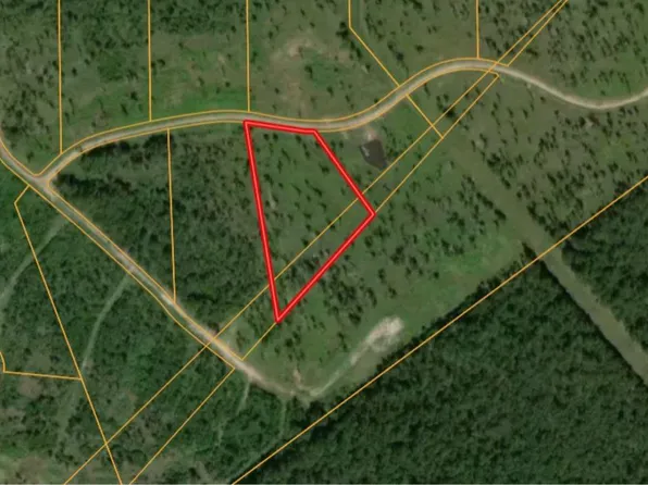 LOT 11 Eagle Falls Blvd, Trinity, TX 75862
