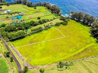28-3280 Beach Rd LOT 14, Pepeekeo, HI 96783