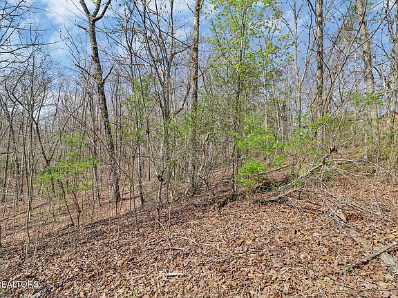 4th image of Thompson Rd