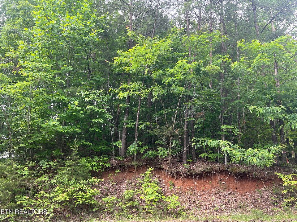1st image of 240-242 Laurel Mountain Rd