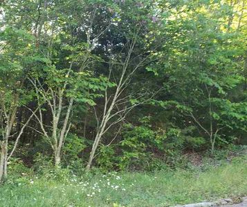 Porter Johns Rd, Tazewell, TN, 37879