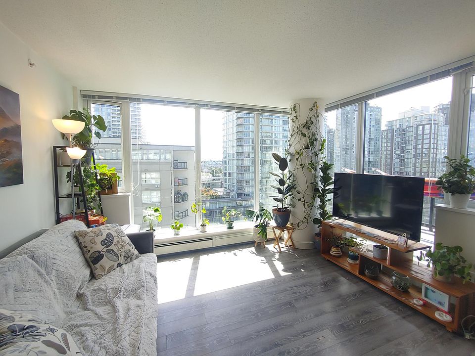 Living room. Corner faces directly south. Plants and pots not included.