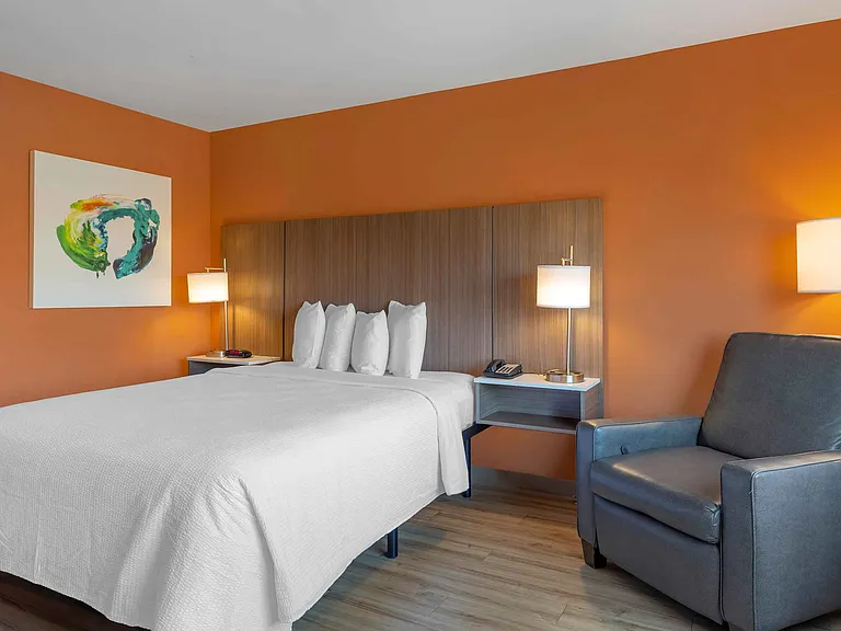 Studio Suite - 1 Queen Bed