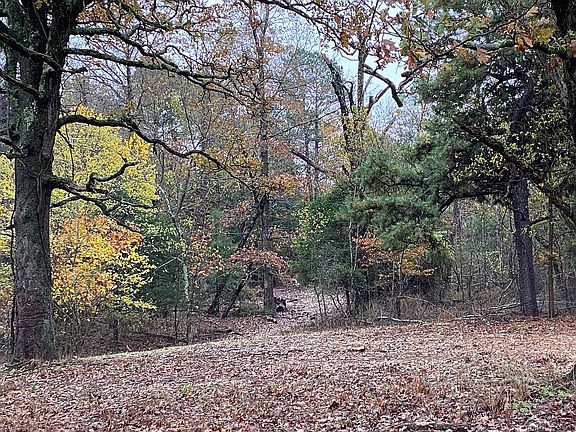 Proximity 60 acres wooded