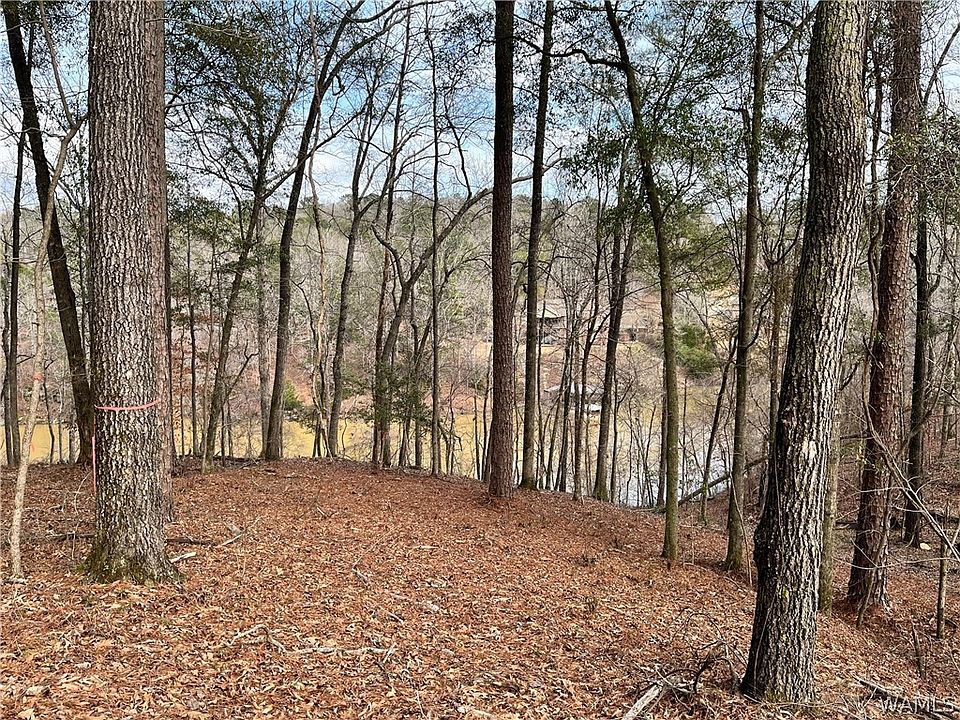 1st image of LOT 74 Highpoint Cv