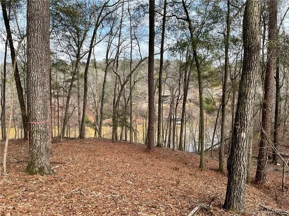 LOT 74 Highpoint Cv, Northport, AL 35475