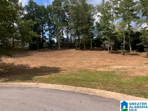 149 Bolivar Cir #421, Chelsea, AL 35043