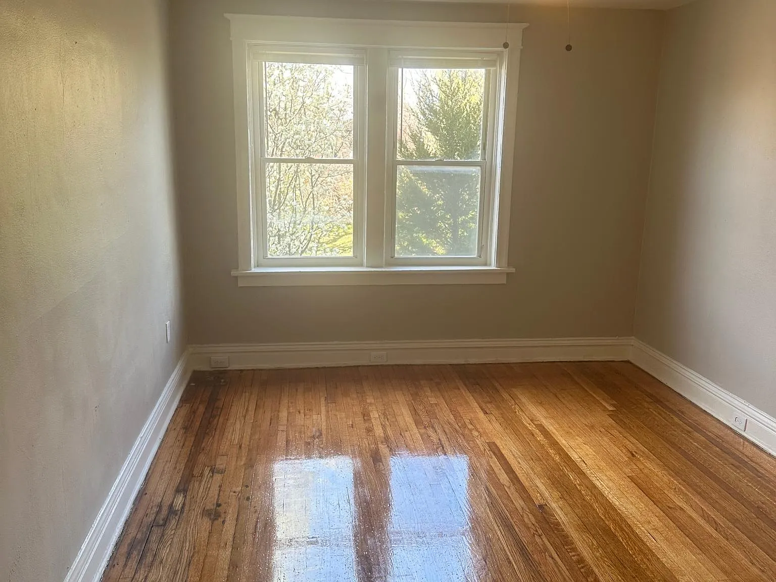 2 bed, 1000 sqft, $995 — Photo 1